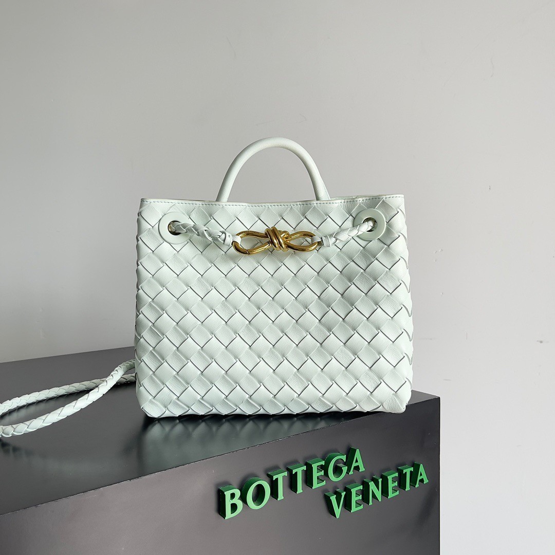 bo*te*ga Ve*ne*ta small andiamo bag in glacier intrecciato lambskin