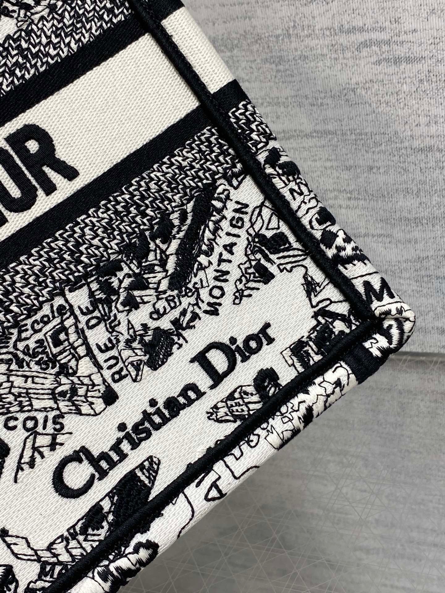 D*or small book tote bag in white plan de paris embroidery