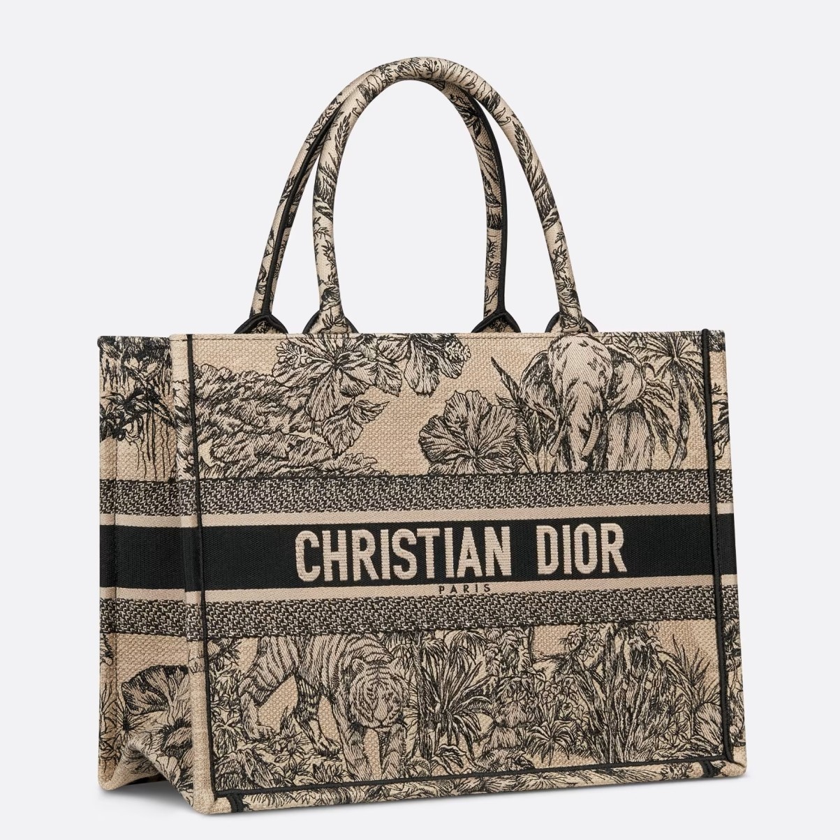 D*or medium book tote bag in beige toile de jouy voyage embroidery