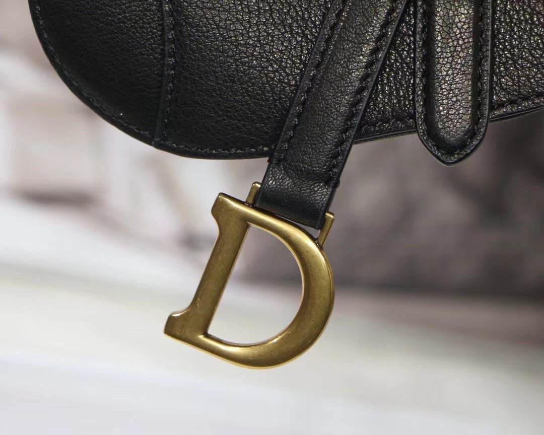 D*or micro saddle bag in black goatskin