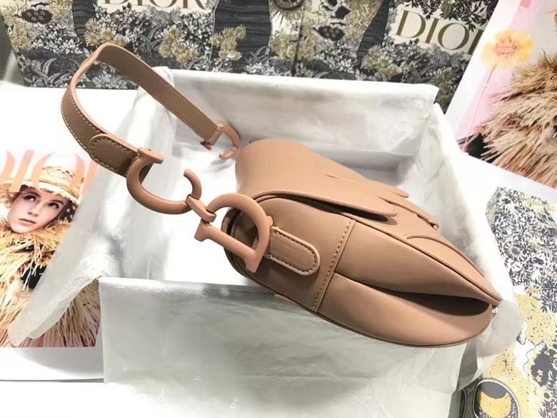 D*or saddle bag in blush ultramatte calfskin