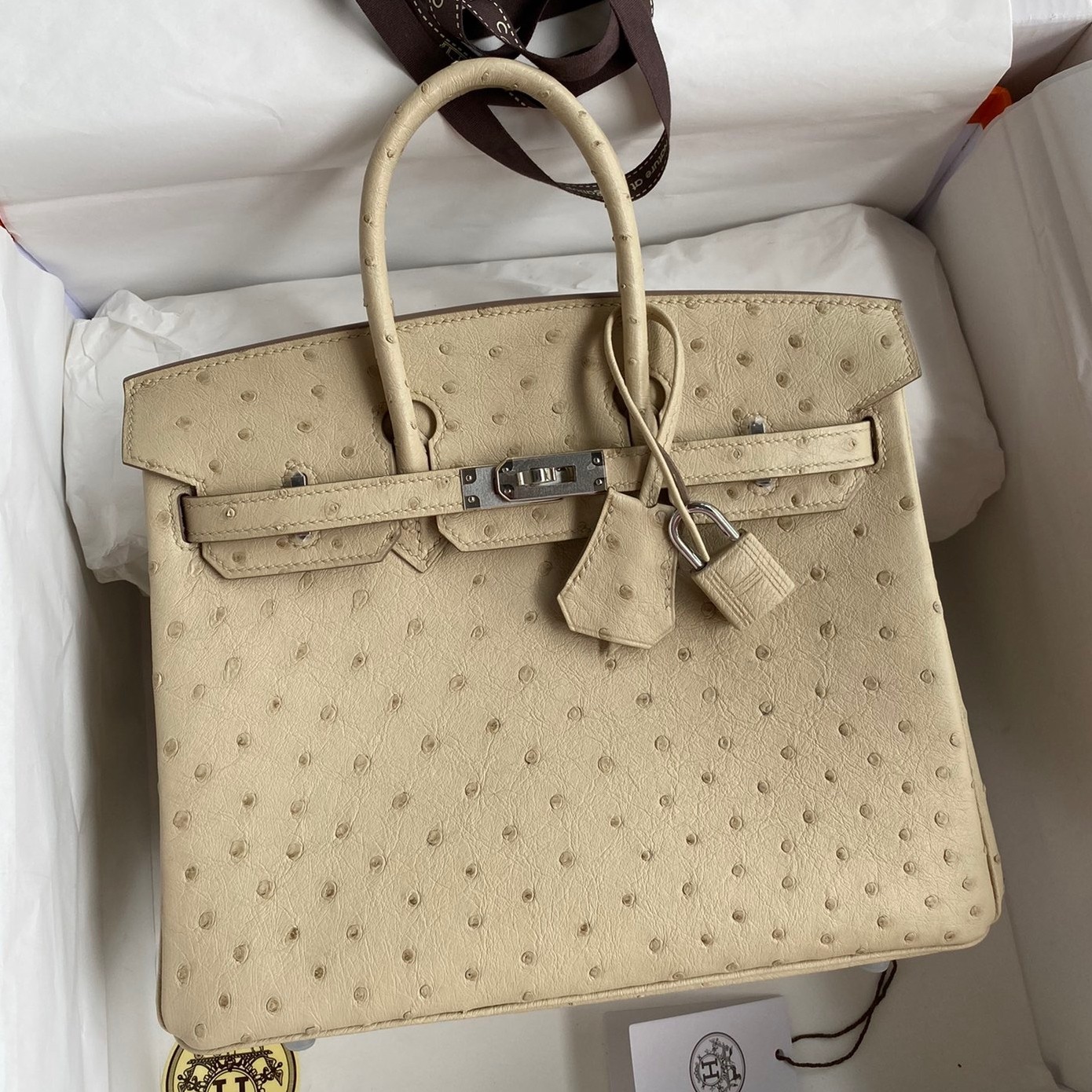 H**mes birkin 25 retourne handmade bag in parchemin ostrich leather